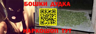 индика Будённовск