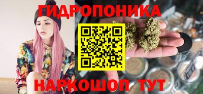 индика Будённовск