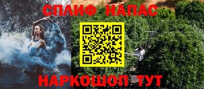 индика Будённовск