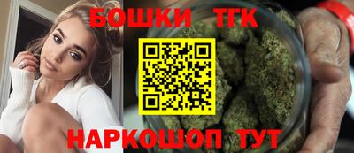 индика Будённовск