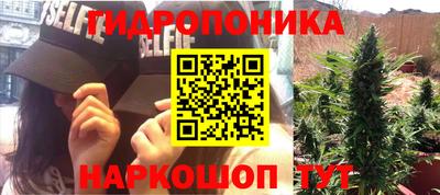 индика Будённовск